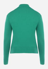 Born2be - Zielony Sweter z Golfem Sazerna. Typ kołnierza: golf. Kolor: zielony. Materiał: dzianina, wiskoza, tkanina. Długość rękawa: długi rękaw. Długość: długie. Wzór: gładki. Sezon: zima, jesień #3