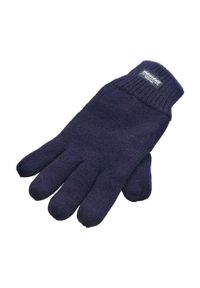 RESULT WINTER ESSENTIALS - Rękawiczki Unisex Dla Dorosłych Z Podszewką Thinsulate. Kolor: niebieski. Technologia: Thinsulate