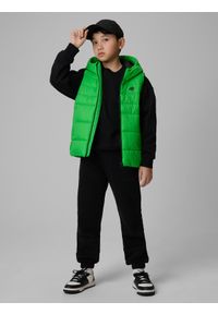 4f - 4F Bezrękawnik z wypełnieniem syntetycznym chłopięcy - zielony 128 (7-8 lat). Okazja: na uczelnię, na co dzień, na spacer. Typ kołnierza: kołnierzyk stójkowy. Kolor: zielony. Materiał: syntetyk. Długość rękawa: bez rękawów. Sezon: lato. Styl: casual #2