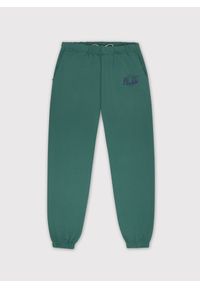 Pako Lorente - Spodnie dresowe zielone C22WF-WD-001-Z-0. Okazja: na co dzień. Kolor: zielony. Materiał: dresówka. Styl: casual #1