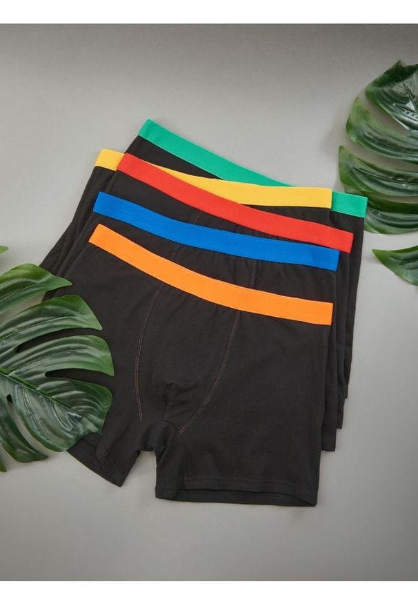 Sinsay - Bokserki Classic 5 pack - wielobarwny. Materiał: włókno, bawełna