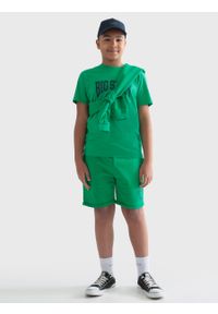 Big-Star - Koszulka chłopięca z nadrukiem zielona Holger 301. Okazja: na uczelnię, na co dzień. Kolor: zielony. Materiał: dzianina. Wzór: nadruk. Styl: casual, klasyczny