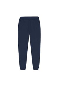 GIRLFRIEND COLLECTIVE - Spodnie Do Biegania Damskie Reset Straight Leg Slim Jogging Bottoms. Kolor: niebieski. Sport: bieganie