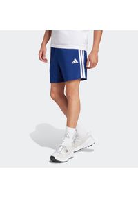 Adidas - Spodenki fitness męskie ADIDAS. Sport: fitness