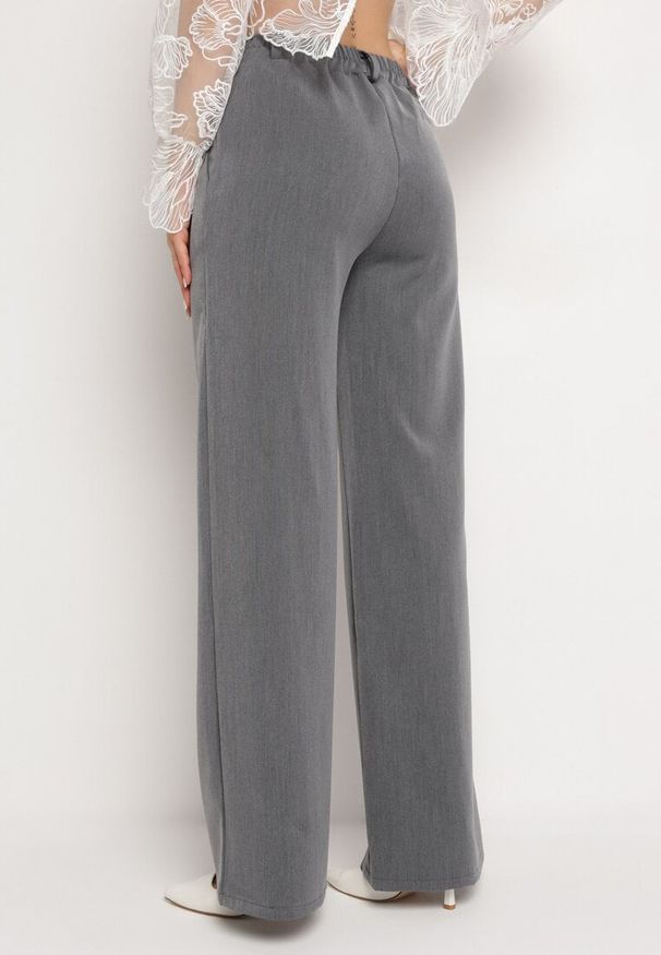 Born2be - Szare Szerokie Spodnie z Regularną Talią Phemire. Kolor: szary. Styl: elegancki