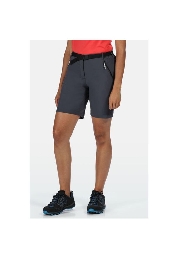 Regatta - Spodenki trekkingowe damskie Xert Stretch. Kolor: szary. Materiał: materiał. Sport: turystyka piesza