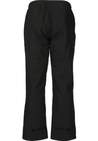 Spodnie narciarskie Whistler Fandango V2 10000. Kolor: czarny. Długość: długie. Sezon: zima. Sport: narciarstwo #2