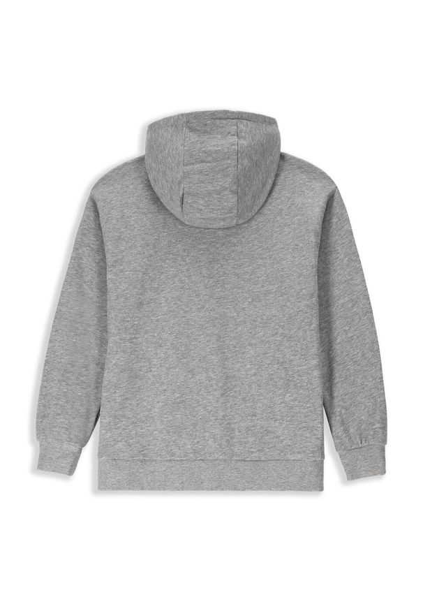 Lemon Explore - Bluza sportowa dziecięcy Lemon Exlopre ZL3 z kapturem. Typ kołnierza: kaptur. Kolor: szary. Materiał: wiskoza, bawełna. Wzór: nadruk. Sport: turystyka piesza