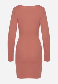 Born2be - Różowa Sukienka o Dopasowanym Kroju z Kopertowym Dekoltem Ermellia. Okazja: na randkę, na ślub cywilny, na wesele. Typ kołnierza: dekolt kopertowy. Kolor: różowy. Materiał: skóra. Długość rękawa: długi rękaw. Typ sukienki: kopertowe. Styl: klasyczny, glamour, elegancki #4