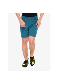 Spodenki wspinaczkowe męskie Black Diamond Notion Shorts. Kolor: zielony. Sport: wspinaczka