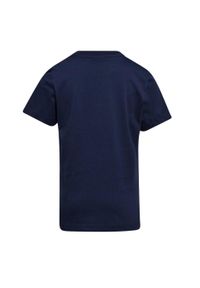 Diadora - Koszulka piłkarska dla dzieci DIADORA JB.SS T-SHIRT 5PALLE. Kolor: niebieski. Sport: piłka nożna