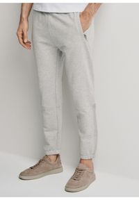 Ochnik - Szare spodnie dresowe męskie. Kolor: szary. Materiał: bawełna #1