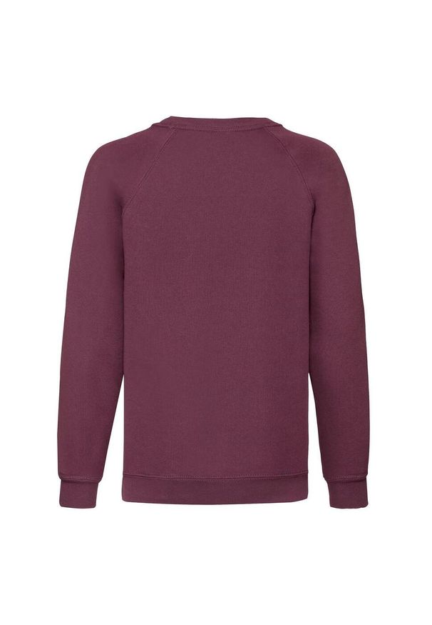 FRUIT OF THE LOOM - Bluza Dziecięca Classic Raglan. Kolor: czerwony, wielokolorowy, brązowy. Długość rękawa: raglanowy rękaw