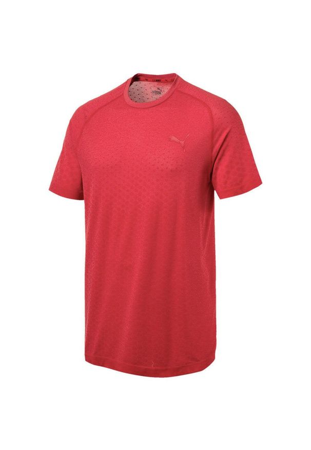 Koszulka Puma Evostripe Evoknit dla mężczyzn - Komfort i wydajność. Kolor: wielokolorowy