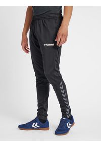 Spodnie dresowe Hummel HML AUTHENTIC TRAINING PANT. Kolor: biały, czarny, wielokolorowy. Materiał: dresówka