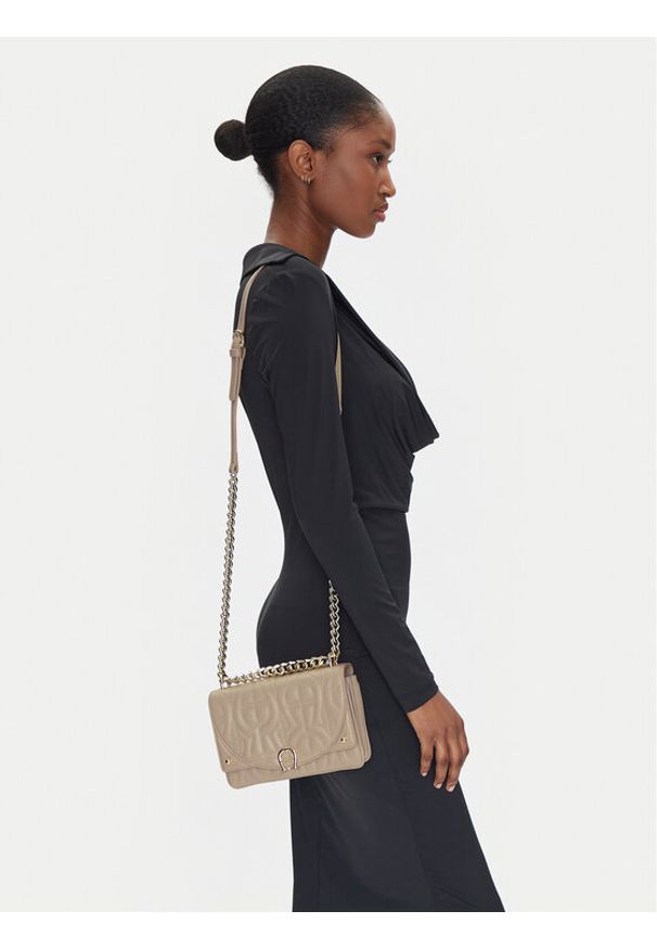 Aigner Torebka 135315 Szary. Kolor: szary. Materiał: skórzane