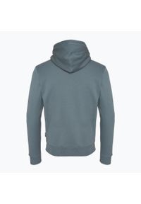 Bluza męska Napapijri B-Suze H. Kolor: szary