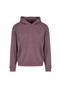 Bluza Urban Classics Light Terry. Typ kołnierza: kaptur. Kolor: fioletowy. Materiał: materiał #1