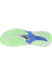 Buty halowe Mizuno Wave Lightning Neo. Kolor: czarny, zielony, wielokolorowy. Model: Mizuno Wave. Sport: siatkówka