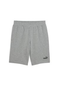 Puma - Męskie szorty Essentials 10" z logo No. 1 PUMA Medium Gray Heather. Kolor: szary. Sport: fitness