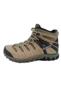 Buty trekkingowe męskie Aku Alterra Lite Goretex. Wysokość cholewki: za kostkę. Zapięcie: sznurówki. Kolor: beżowy. Materiał: skóra, gore-tex, zamsz, materiał, syntetyk. Szerokość cholewki: normalna. Technologia: Gore-Tex