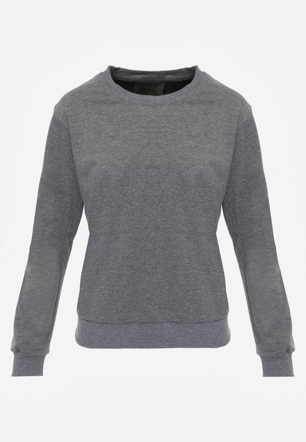 Renee - Ciemnoszara Casualowa Bluza z Bawełną Akko. Okazja: na co dzień. Kolor: szary. Materiał: bawełna. Styl: casual