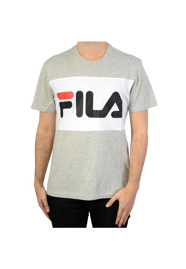 Fila - T-Shirt Day Rozmiar XS Szary - 681244-A068. Kolor: szary. Długość rękawa: krótki rękaw. Długość: krótkie
