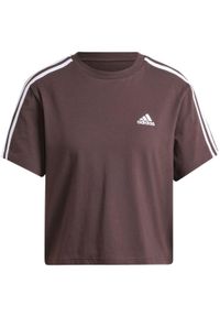 Adidas - Koszulka damska adidas Essentials 3-Stripes Single Jersey Crop Top. Kolor: biały, wielokolorowy, brązowy. Materiał: jersey. Długość: krótkie