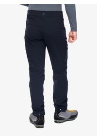 Spodnie trekkingowe męskie Berghaus MTN Guide MW Technical Pant. Kolor: szary