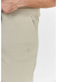 Aeronautica Militare - AERONAUTICA MILITARE Beżowe spodnie męskie dresowe. Kolor: beżowy. Materiał: bawełna