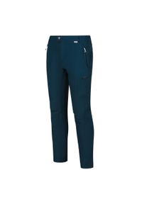Spodnie trekkingowe dla mężczyzn Regatta HIGHTON TRS. Kolor: niebieski. Sezon: lato. Sport: turystyka piesza #1