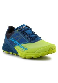 Buty do biegania Dynafit Alpine M 64064-8836 zielone. Okazja: na co dzień. Kolor: zielony. Materiał: guma. Sport: bieganie, fitness