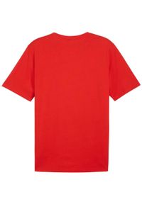Koszulka męska Puma Team Rise Logo Jersey Cotton. Kolor: czerwony, biały, wielokolorowy. Materiał: jersey. Sport: fitness, piłka nożna