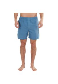 Boardshorty męskie FUNDANGO Bono Boardshort. Kolor: niebieski. Materiał: bawełna, poliester