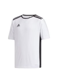 Adidas - Koszulka piłkarska dla dzieci adidas Entrada 18 Jr CF1044. Materiał: materiał, poliester, skóra, dzianina. Technologia: ClimaLite (Adidas). Wzór: paski, ze splotem. Sport: piłka nożna #1