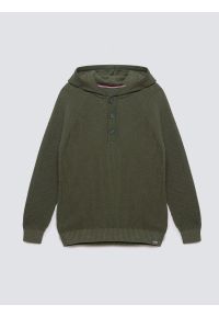 Big-Star - Sweter męski z kapturem khaki Carlson 303. Okazja: na co dzień, na spacer. Typ kołnierza: kaptur. Kolor: zielony. Materiał: bawełna, jeans, materiał, dzianina. Wzór: aplikacja, ze splotem. Styl: vintage, casual #7