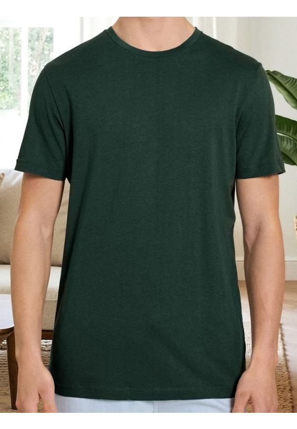 Sinsay - Bawełniana koszulka z krótkim rękawem - zielony. Kolor: zielony. Materiał: bawełna. Długość rękawa: krótki rękaw. Długość: krótkie