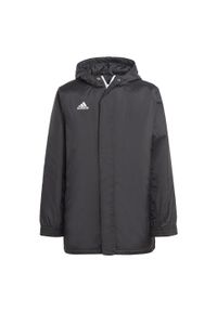 Adidas - Entrada 22 Stadium Jacket. Kolor: czarny. Materiał: poliester. Długość: długie