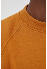 Drykorn bluza męska kolor brązowy gładka. Kolor: brązowy. Materiał: bawełna, dzianina. Długość rękawa: raglanowy rękaw. Wzór: gładki #4