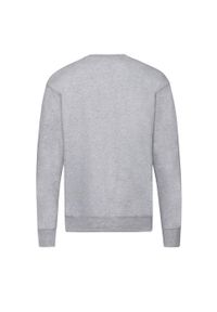 FRUIT OF THE LOOM - Lekka Męska Bluza Z Kapturem. Typ kołnierza: kaptur. Kolor: szary