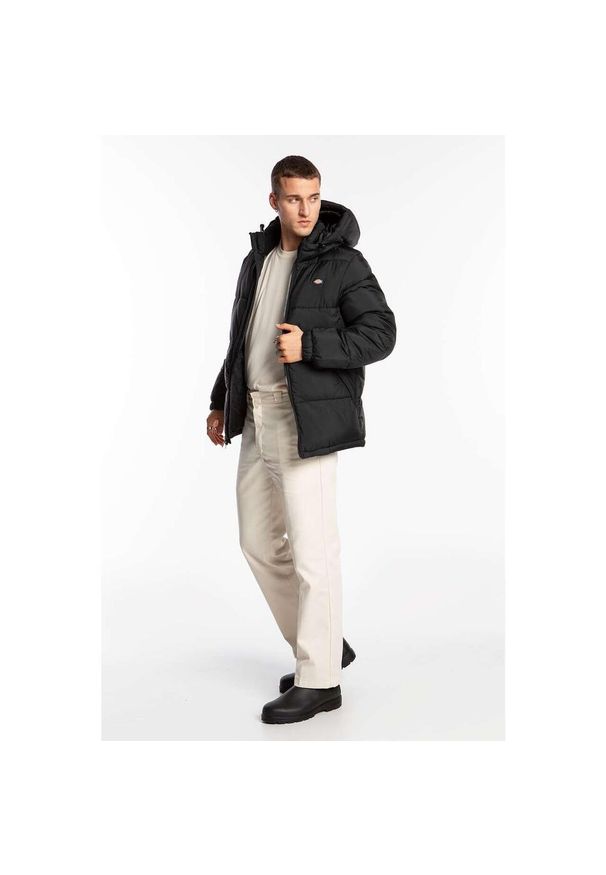 Kurtka zimowa męska Dickies Waldenburg Hooded. Kolor: czarny. Sezon: zima