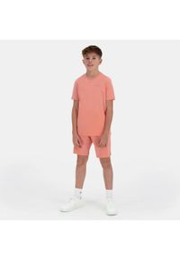 Koszulka dla dzieci Le Coq Sportif N°2. Kolor: wielokolorowy, czerwony, różowy, brązowy #2