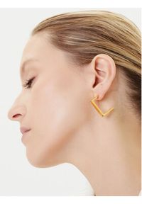 Elisabetta Franchi Kolczyki OR-03K-56E2-V150 Złoty. Materiał: metalowe. Kolor: złoty