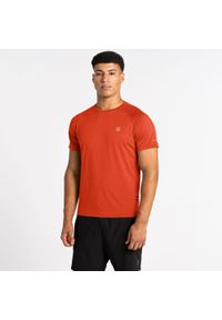 DARE 2B - Męska koszulka trekkingowa Accelerate. Kolor: czerwony. Materiał: poliester #1