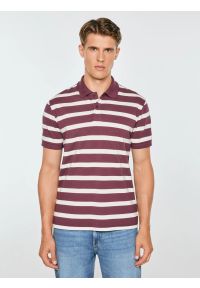 Big-Star - koszulka męska polo w białe paski bordowa talus 604. Okazja: na co dzień. Typ kołnierza: polo. Kolor: czerwony. Materiał: bawełna, sztruks, jeans, dzianina. Wzór: paski. Sezon: zima, jesień. Styl: casual, sportowy, klasyczny #1