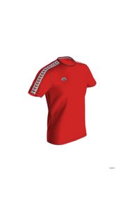 Koszulka treningowa dla mężczyzn Arena T-shirt Team Icons. Kolor: czerwony #1