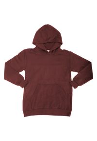 SG - Dziecięca Bluza Sportowa Unisex Kaptur Pulower. Kolor: czerwony, wielokolorowy, brązowy
