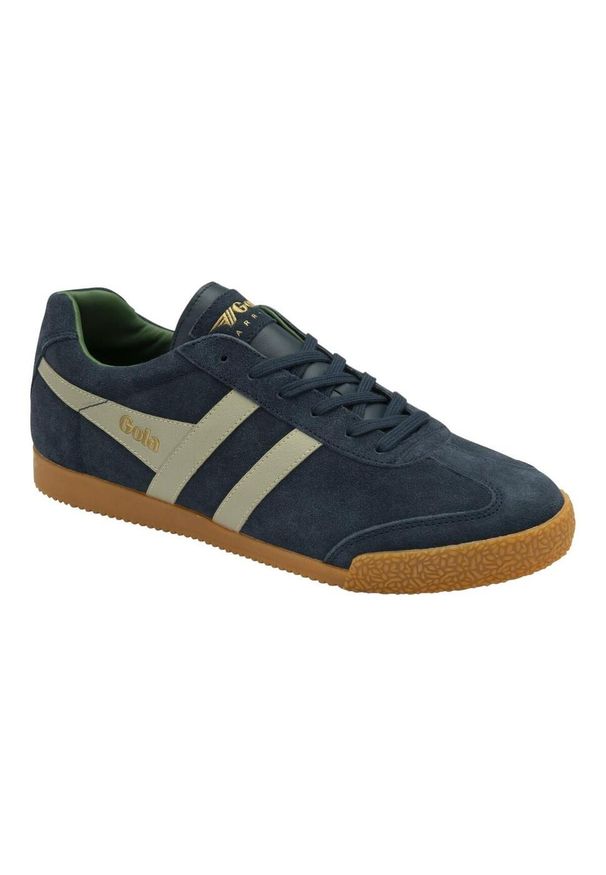 Buty do chodzenia męskie Gola Harrier. Kolor: niebieski, wielokolorowy. Materiał: zamsz, materiał. Szerokość cholewki: normalna. Sport: turystyka piesza