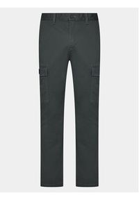 Tommy Jeans Spodnie materiałowe Tjm Austin Cargo DM0DM18341 Szary Regular Fit. Kolor: szary. Materiał: bawełna #5