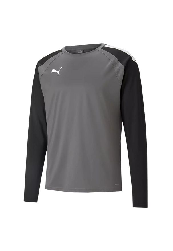 Bluza Puma Teamliga. Kolor: biały, wielokolorowy, szary. Sport: fitness